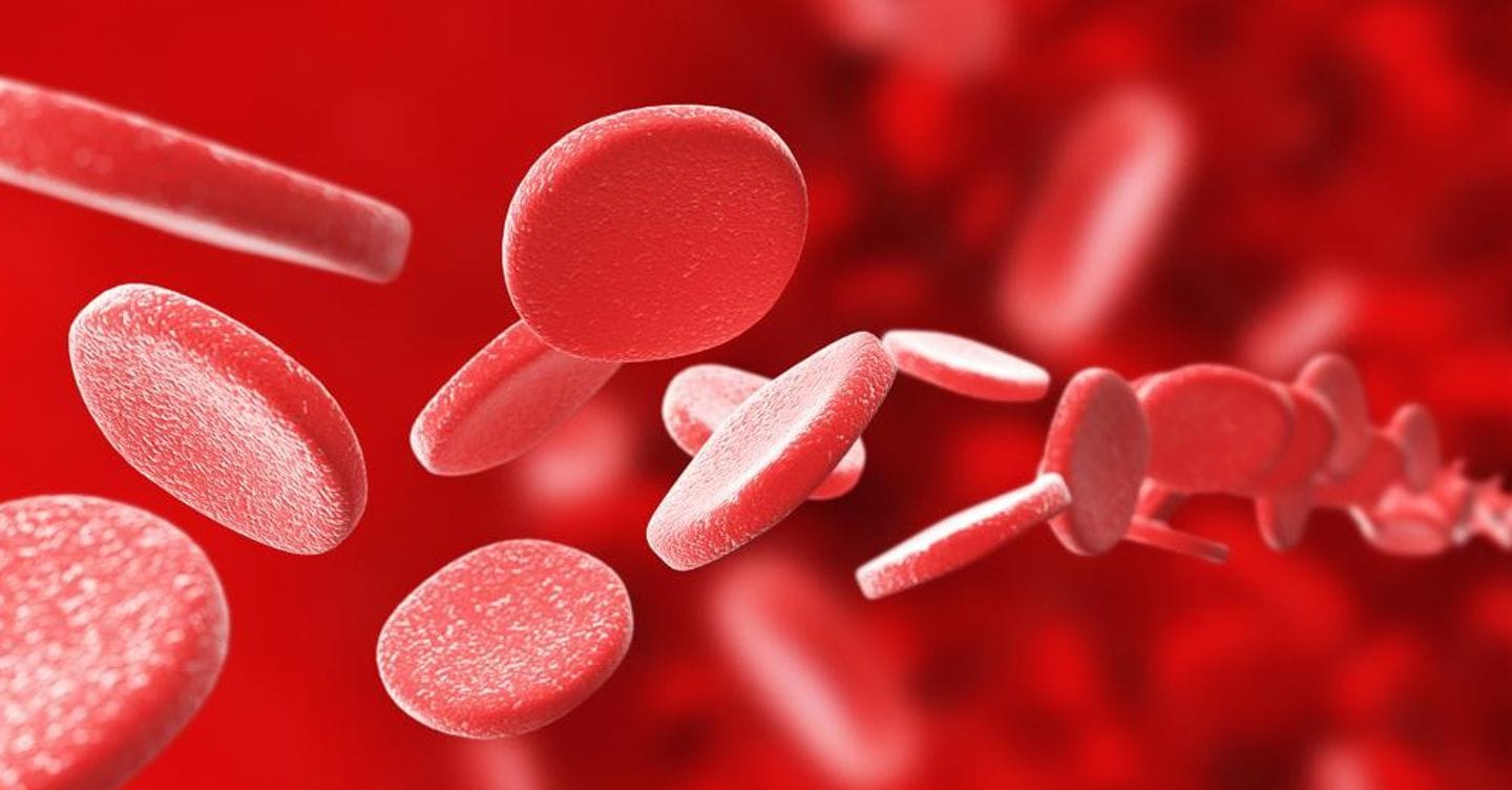 Scoperta una proteina efficace contro l’avvelenamento da monossido di carbonio